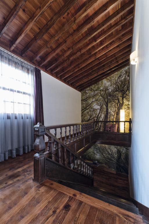 Anchieta 60 Διαμέρισμα Σαν Κριστόμπαλ ντε Λα Λαγούνα Εξωτερικό φωτογραφία